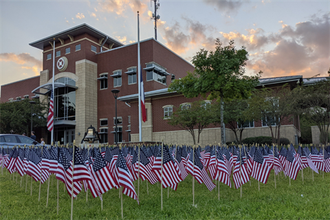 Photo of American flags standing on a field of grass