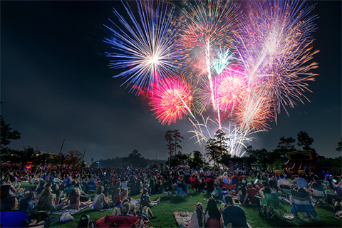 red, white and blue Fireworks in a night sky
