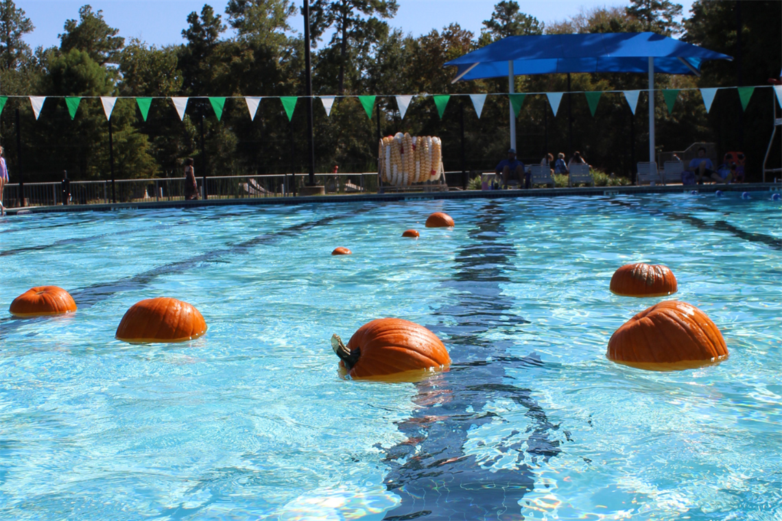 Pumpkins in pool