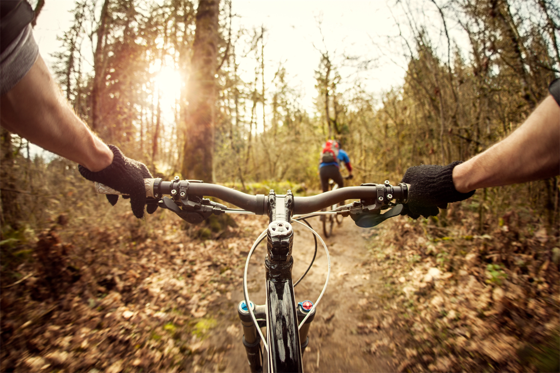 Hands holding handlebars in the foreground, nature in the background