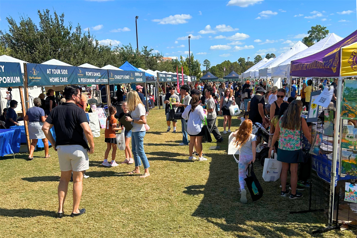People at various booth tents in a park on a sunny day