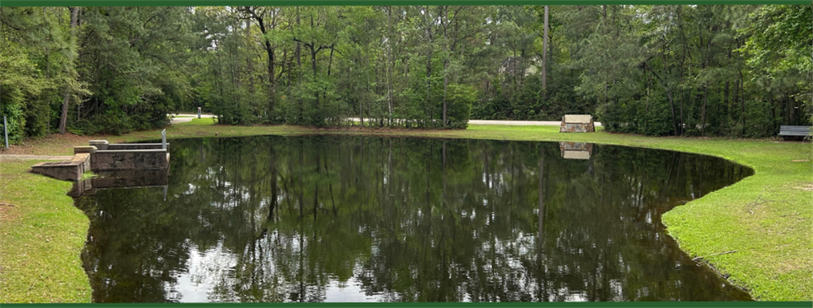 Photo of pond at Alden Woods Park