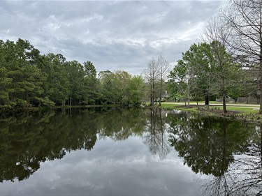 Photo-of-Deepdal-Pond-Park_02.jpg