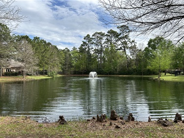 Photo-of-Mason-Pond-Park_02.jpg