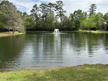 Photo-of-Mason-Pond-Park_03.jpg