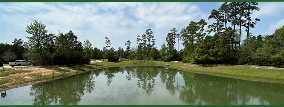 Photo of a park pond