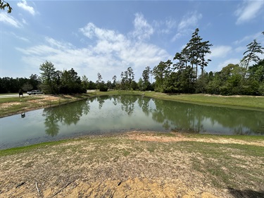 Photo-of-Twin-Ponds-Park_02.jpg