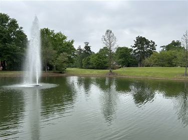 Photo-of-Marquise-Oaks-Pond-Park_03.jpg